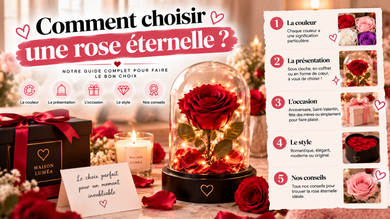 Rose éternelle : comment bien la choisir ?