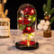 Rose éternelle lumineuse sous cloche en verre avec éclairage LED. Roses Éternelle Lumineuse sous Cloche