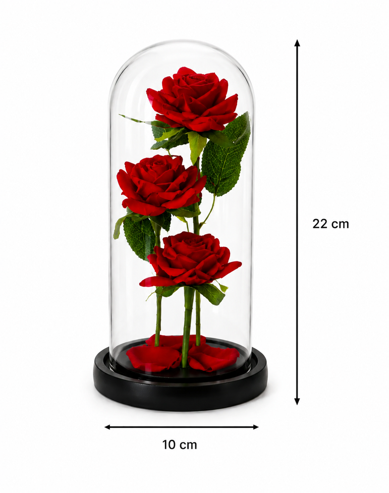 Roses Éternelle Lumineuse sous Cloche – Cadeau Romantique de Luxe